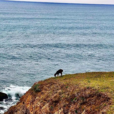Inn Of The Lost Coast Shelter Cove Exteriör bild